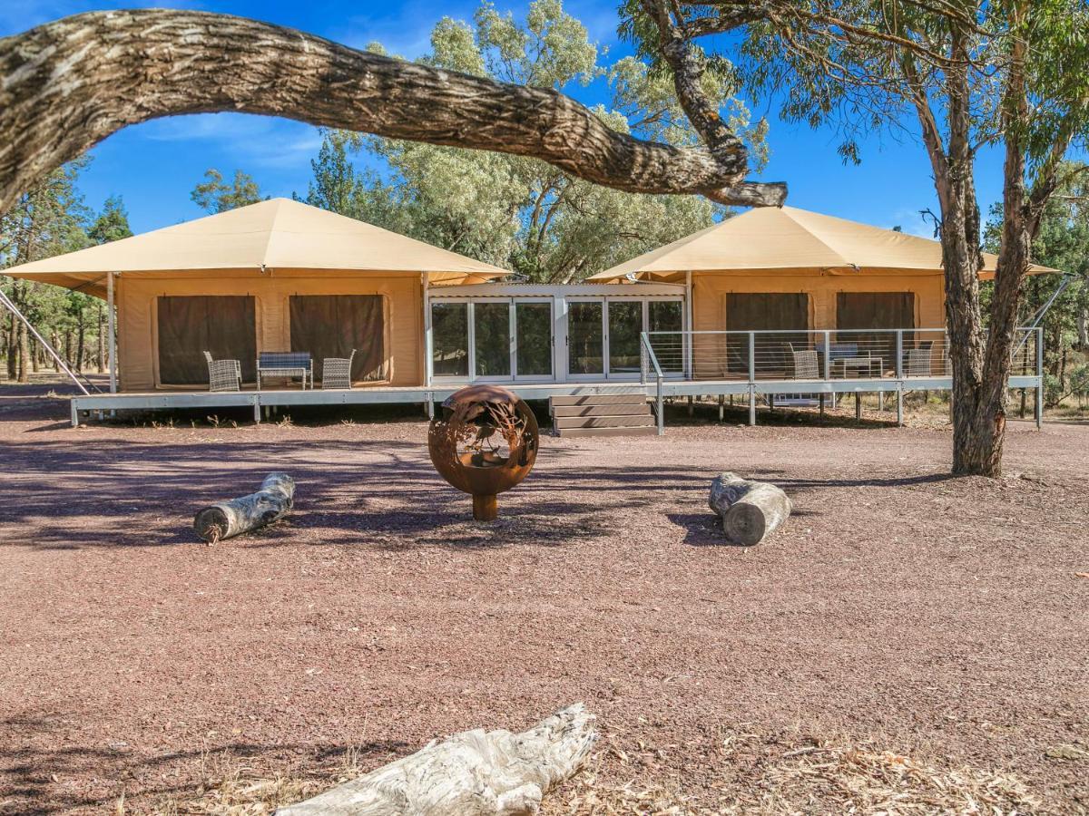 Discovery Resorts - Wilpena Pound Hawker Exterior photo