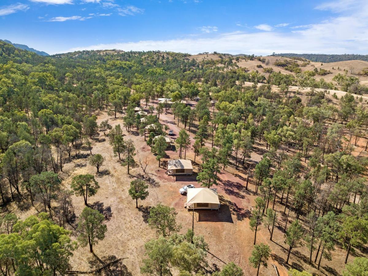 Discovery Resorts - Wilpena Pound Hawker Exterior photo