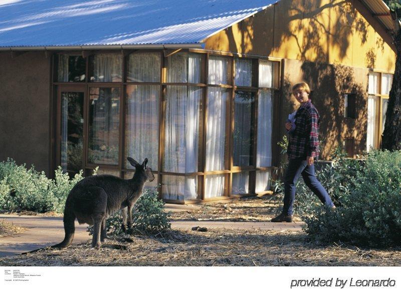 Discovery Resorts - Wilpena Pound Hawker Exterior photo