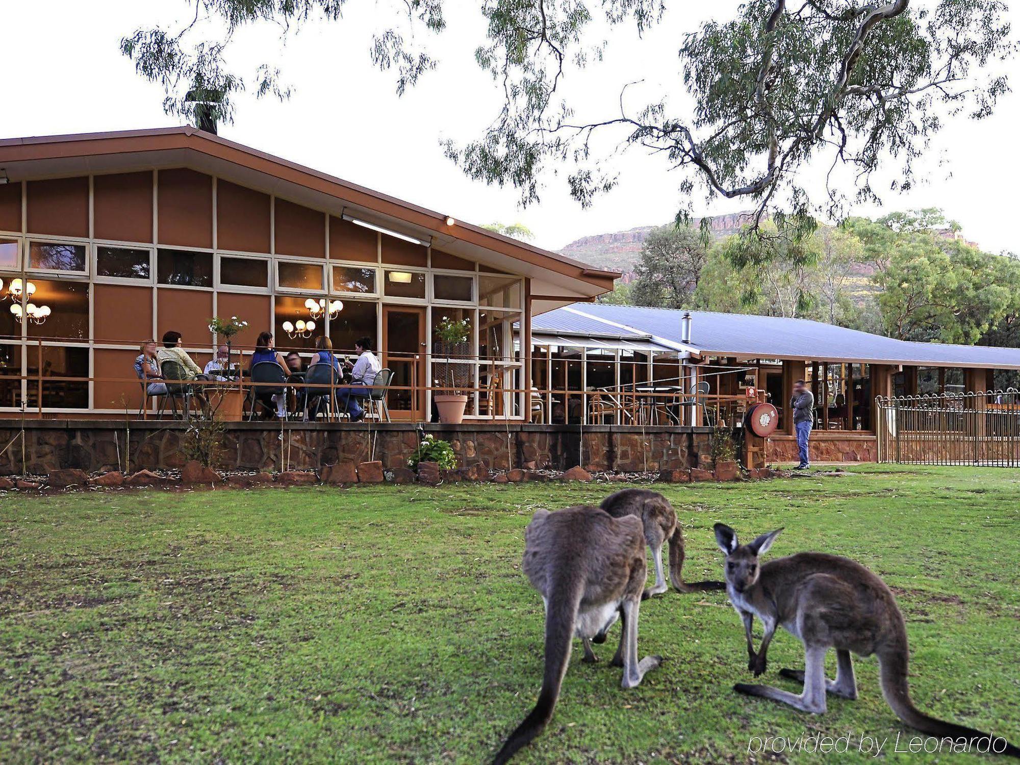 Discovery Resorts - Wilpena Pound Hawker Exterior photo