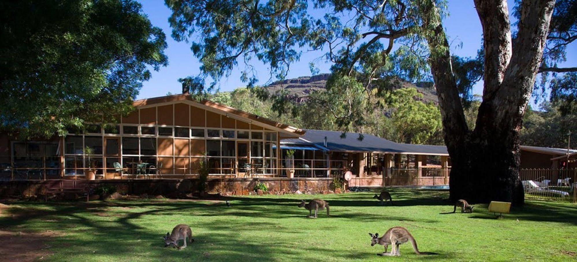 Discovery Resorts - Wilpena Pound Hawker Exterior photo